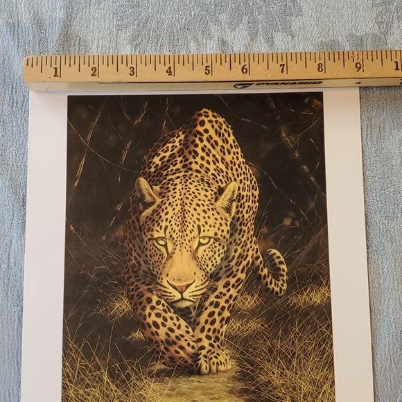 ANDREW BONE, "African Mystique" seriolithograph - Picture 4 of 6